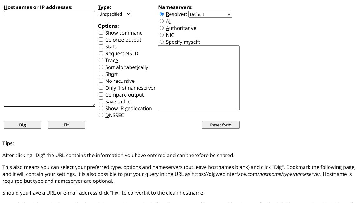 Screenshot of Dig Web Interface